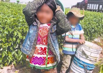 Baja 7.9% el presupuesto vs trabajo infantil