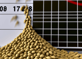 Precio de la soya cae a mínimo de siete semanas