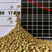 Precio de la soya cae a mínimo de siete semanas