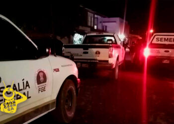 #Apatzingán Desviven A Joven Mujer Pepenadora En La Leandro Valle - Changoonga.com