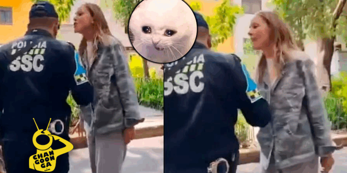 Estos Son Los Castigo$ Que Debe Cumplir #LadyRacista Tras Su Agresión - Changoonga.com