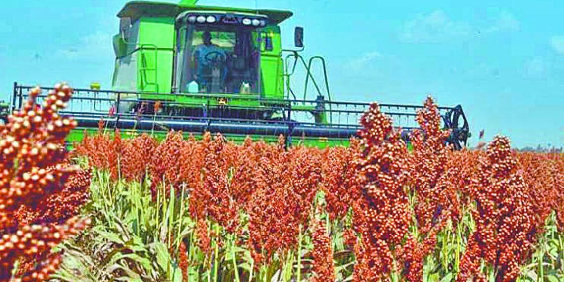 Concentran cinco estados los cultivos siniestrados en 2025