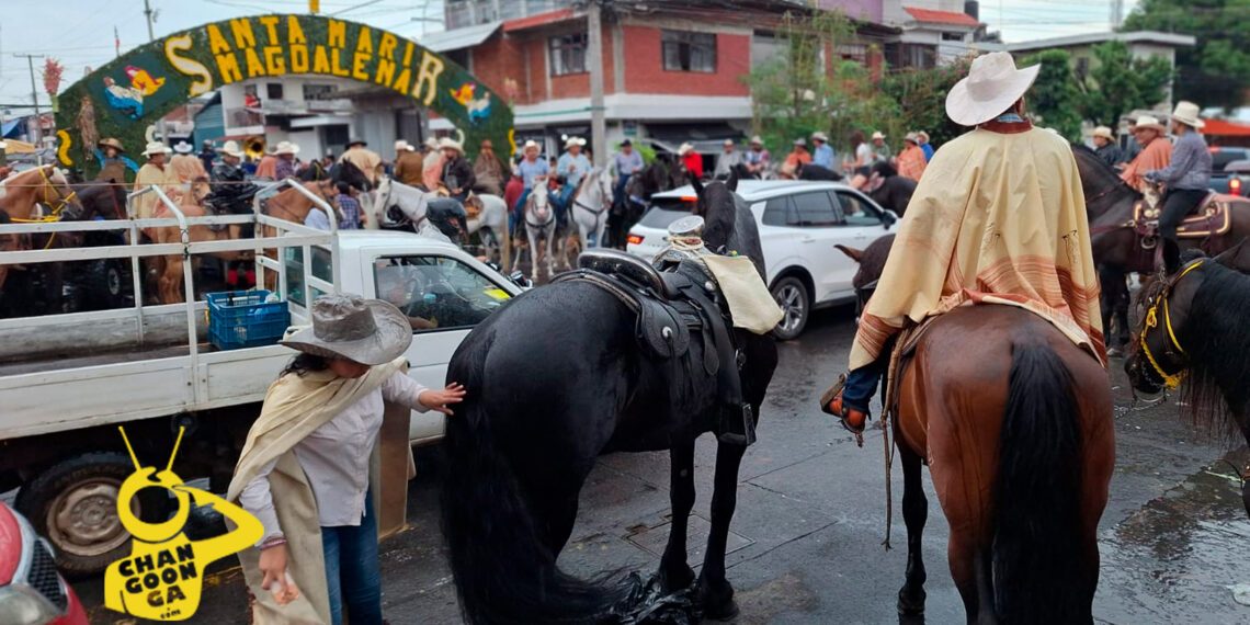 Sucedió En Uruapan: Entre Riña Y Balacera Termina Cabalgata Del Barrio De La Magdalena - Changoonga.com