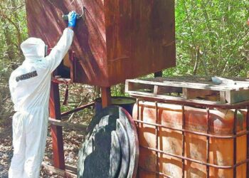 Dan golpe a narco por más de 1,300 millones de pesos