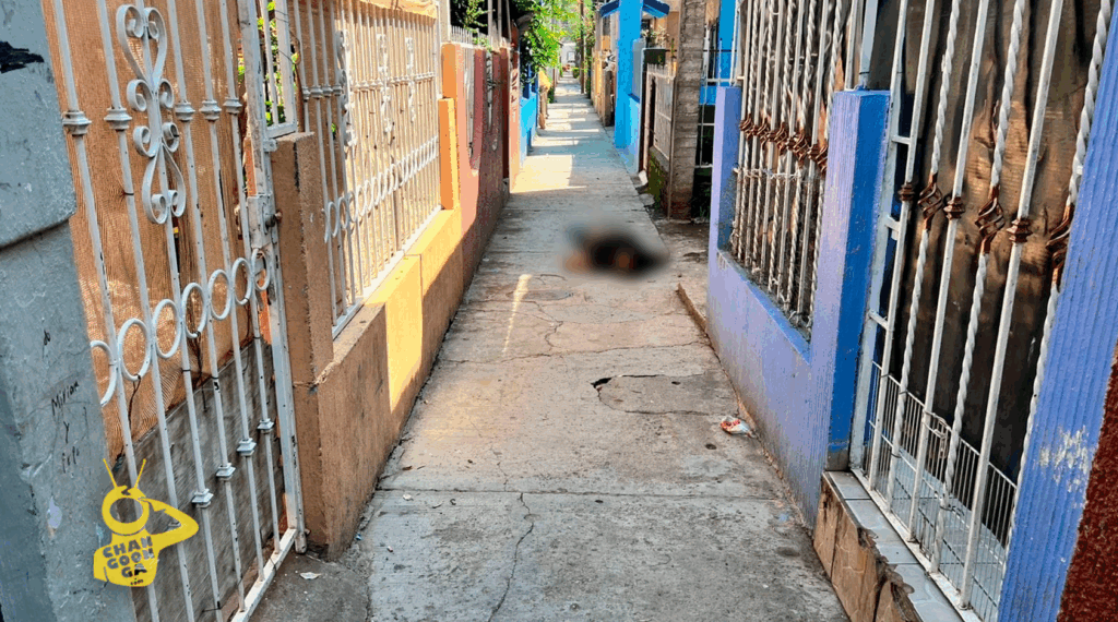 Asesinan A Chavo Por La Espalda Cuando Llegaba A Su Casa En Zamora - Changoonga.com