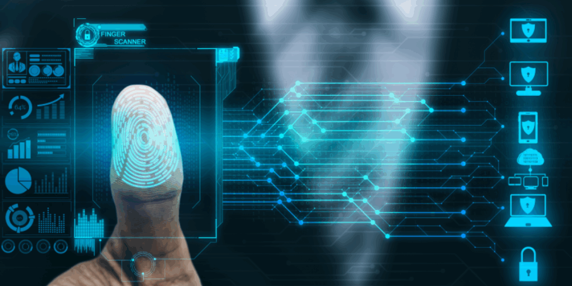 tiempos claves para su implementación