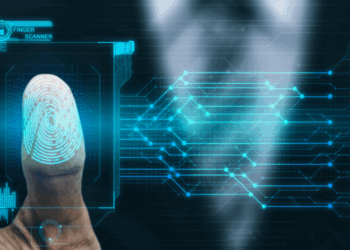 tiempos claves para su implementación