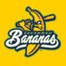 Banana Ball Fans: How to Watch the Savannah Bananas This Weekend