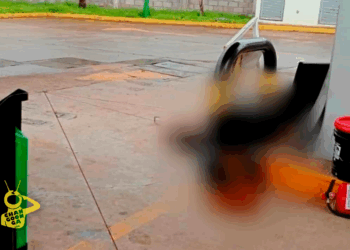 Chofer De Camión Se Echa De Reversa Y Atropella Y Mata A Empleada De Gasolinera En Ario De Rosales - Changoonga.com