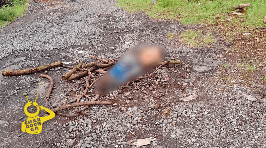 #Michoacán Abandonan Cuerpo Con Signos De Violencia En La Libre Uruapan-Pátzcuaro - Changoonga.com