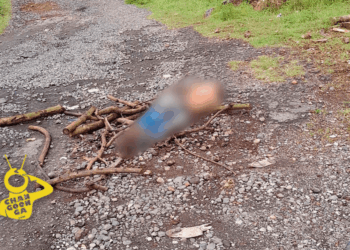 #Michoacán Abandonan Cuerpo Con Signos De Violencia En La Libre Uruapan-Pátzcuaro - Changoonga.com