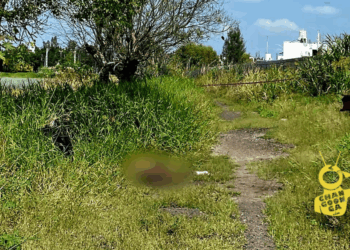 Hallan Cuerpo Con Signos De Violencia En Predio De Zamora - Changoonga.com