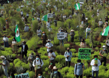 El Verde posiciona a un diputado en Sonora y Durazo busca sumarlo a su equipo para evitar tensiones