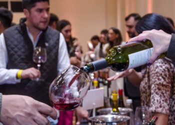 El turismo vitivinícola gana popularidad entre los viajeros – Dimension Turistica Magazine