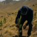 Epson y Reforestamos México impulsan un programa de reforestación a largo plazo en el Nevado de Toluca – Dimension Turistica Magazine