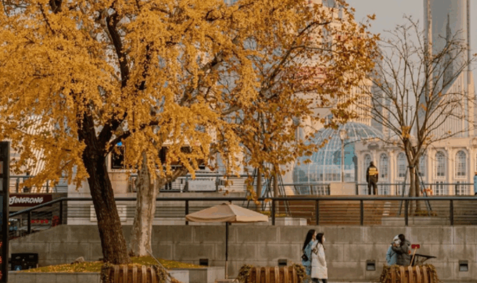 La armonía entre lo contemporáneo y lo clásico – Dimension Turistica Magazine