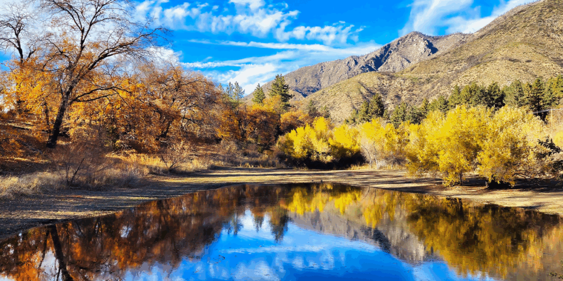 Celebrando la época más mágica en la ‘Tierra de los Ángeles’ – Dimension Turistica Magazine