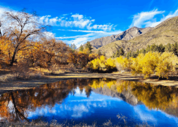 Celebrando la época más mágica en la ‘Tierra de los Ángeles’ – Dimension Turistica Magazine