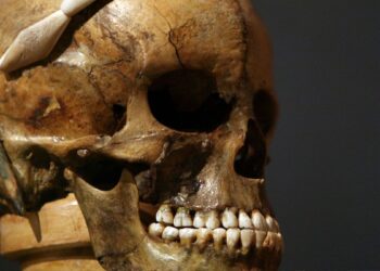 Francia devuelve la cabeza cortada del rey a Madagascar después de 128 años