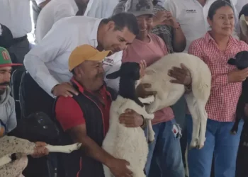Gobernador de Puebla entregó apoyos para el campo en Nopalucan