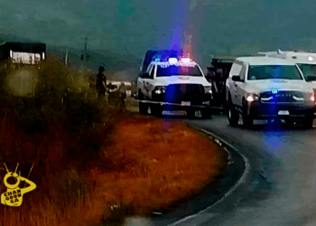 Localizan Cadáver De Hombre En Descomposición A Un Costado De La Siglo XXI, En Arteaga - Changoonga.com