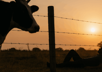 #México Muere Hombre Por Rabia Bovina Tras Mordedura De Una Vaca En Jalisco - Changoonga.com