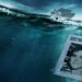 La pista que podría aclarar, 27 años después, el asesinato en un crucero que dio origen a un documental. – Dimension Turistica Magazine