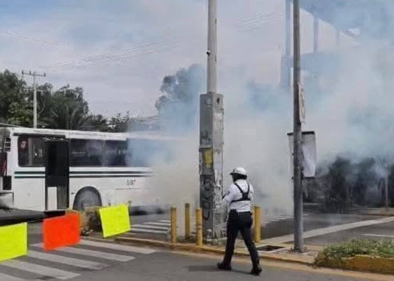Jesús Romero defiende la expulsión de docentes de Telebachilleratos en el crucero del ADO. – Dimension Turistica Magazine