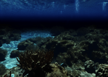 La ciudad de los hoyos