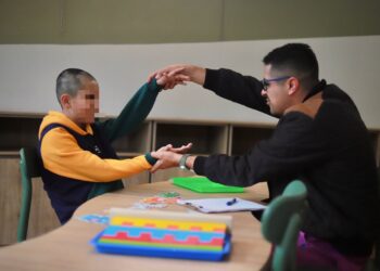 #Morelia Centro Para La Cultura Para La Discapacidad Logró Más de 10 Mil 900 Atenciones - Changoonga.com