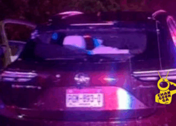 #Michoacán Ratas Armadas Intentaron Robar Auto A Guadalupe Y Le Quitaron La Vida - Changoonga.com