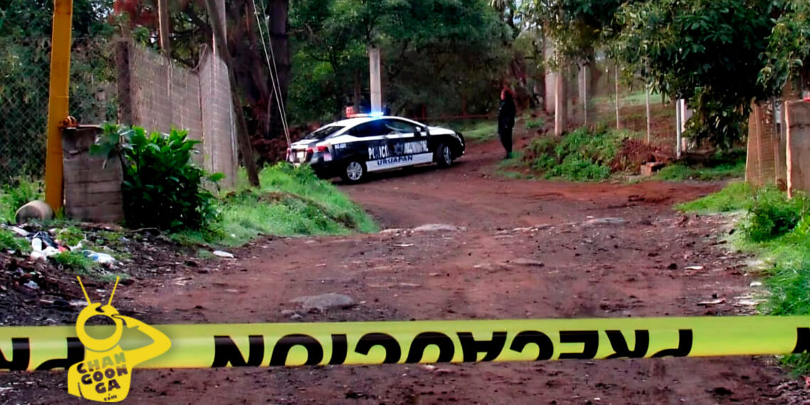 #Michoacán Hallan Cadáver Colgado De Un Árbol En Caltzontzin - Changoonga.com