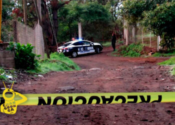 #Michoacán Hallan Cadáver Colgado De Un Árbol En Caltzontzin - Changoonga.com