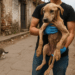 #Michoacán Rescatan A Perrito Maltratado En Cuitzeo Tras Denuncias En Redes - Changoonga.com