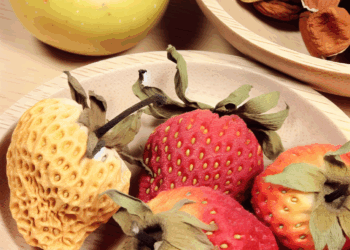prueba alguna de estas 4 opciones tradicionales y uno con fresas deshidratadas