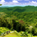 Panamá se consolida como un destino líder en turismo sustentable – Dimension Turistica Magazine