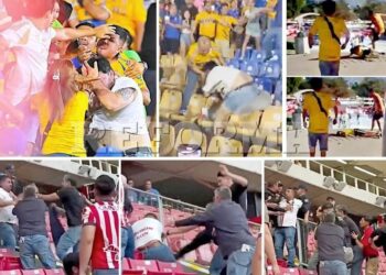 Pegan duro conatos de violencia a la Liga MX