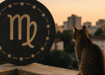 Horóscopo de Virgo para septiembre 2025: Tus predicciones del mes