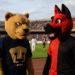 Pumas vs Atlas EN VIVO Liga MX Apertura 2025 Jornada 7
