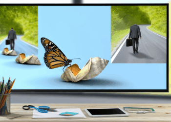 la reinvención de una carrera profesional