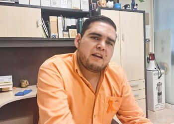 Evaluarán el proyecto de cuidado de árboles en la intersección Abastos – Independencia. – Dimension Turistica Magazine