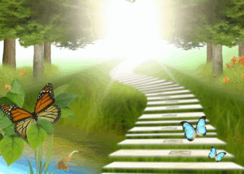 un camino hacia el desarrollo personal” – Dimension Turistica Magazine