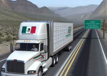 SRE descarta que suspensión de visas en EU afecte a conductores de carga mexicanos