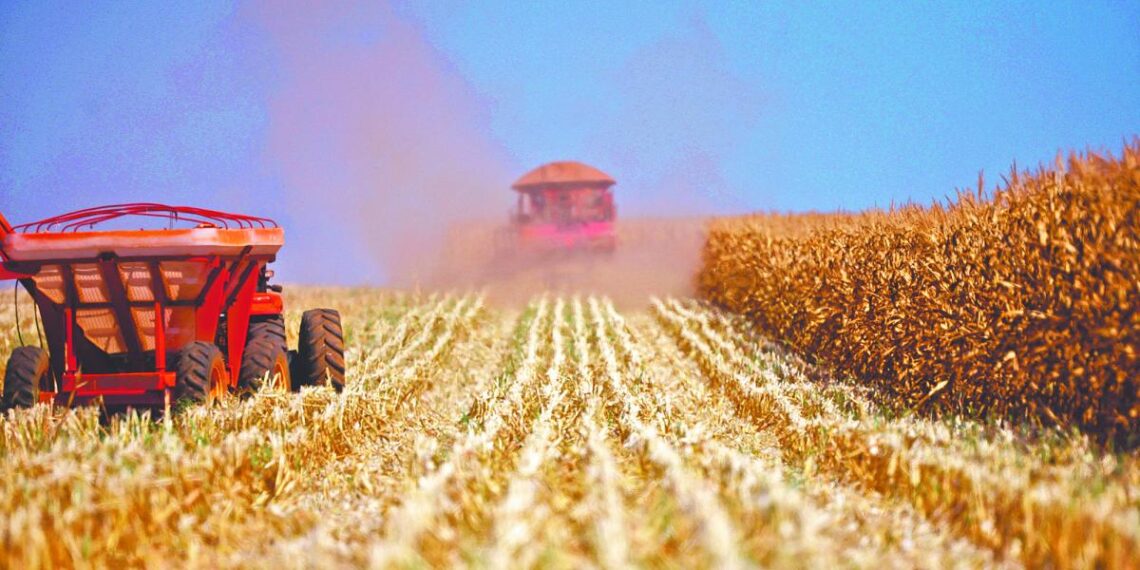 Soya y maíz operan volátiles a la espera de estimado agrícola en EU