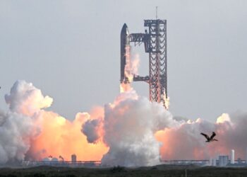 SpaceX Starship Finally Pulls Off a Successful Test Flight