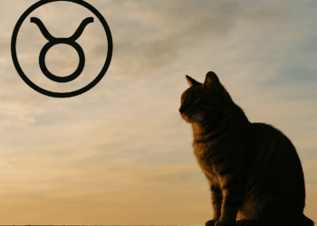 Horóscopo de Tauro para septiembre 2025: Tus predicciones del mes