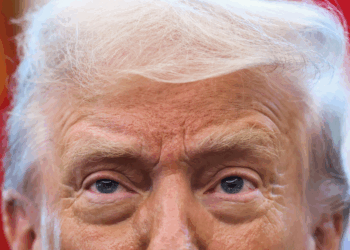 Donald Trump ve posible la paz entre Putin y Zelenski