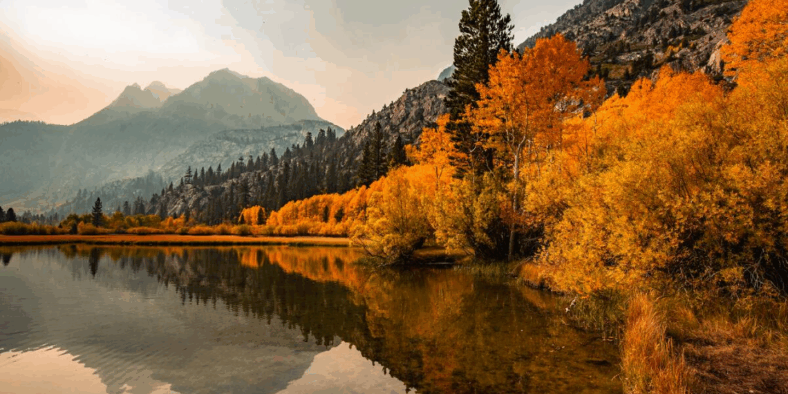 Un viaje lleno de amor y matices – Dimension Turistica Magazine