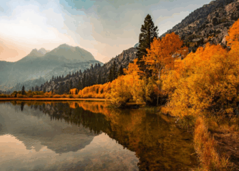 Un viaje lleno de amor y matices – Dimension Turistica Magazine