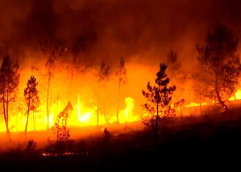 Vídeo. VÍDEO: La peor temporada de incendios quema más de 340.000 hectáreas